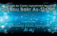 Attitude à adopter face à la tentation des femmes habillées mais nues – Shaykh Muhammad Al Imam