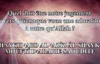L’appellation Mourji’ ne lui suffit pas, mais il est mécréant – Shaykh Sâlih As-Suhaymy