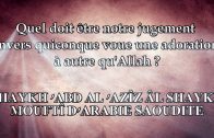 L’appellation Mourji’ ne lui suffit pas, mais il est mécréant – Shaykh Sâlih As-Suhaymy